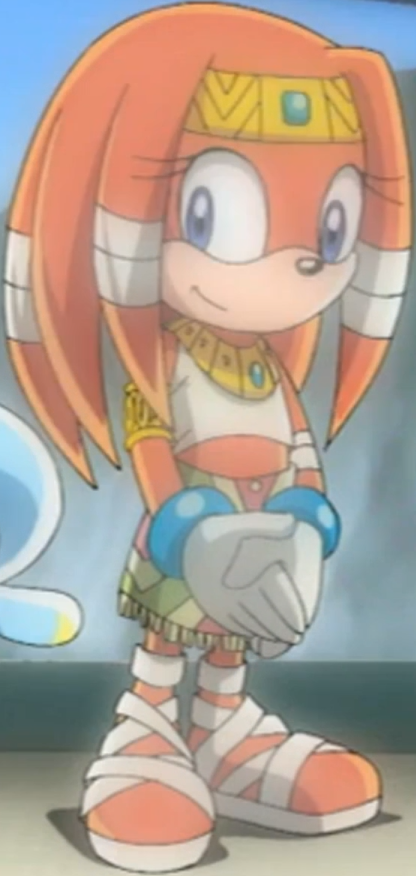 Amy And Tails And Tikal Amy And Tails And Tikal